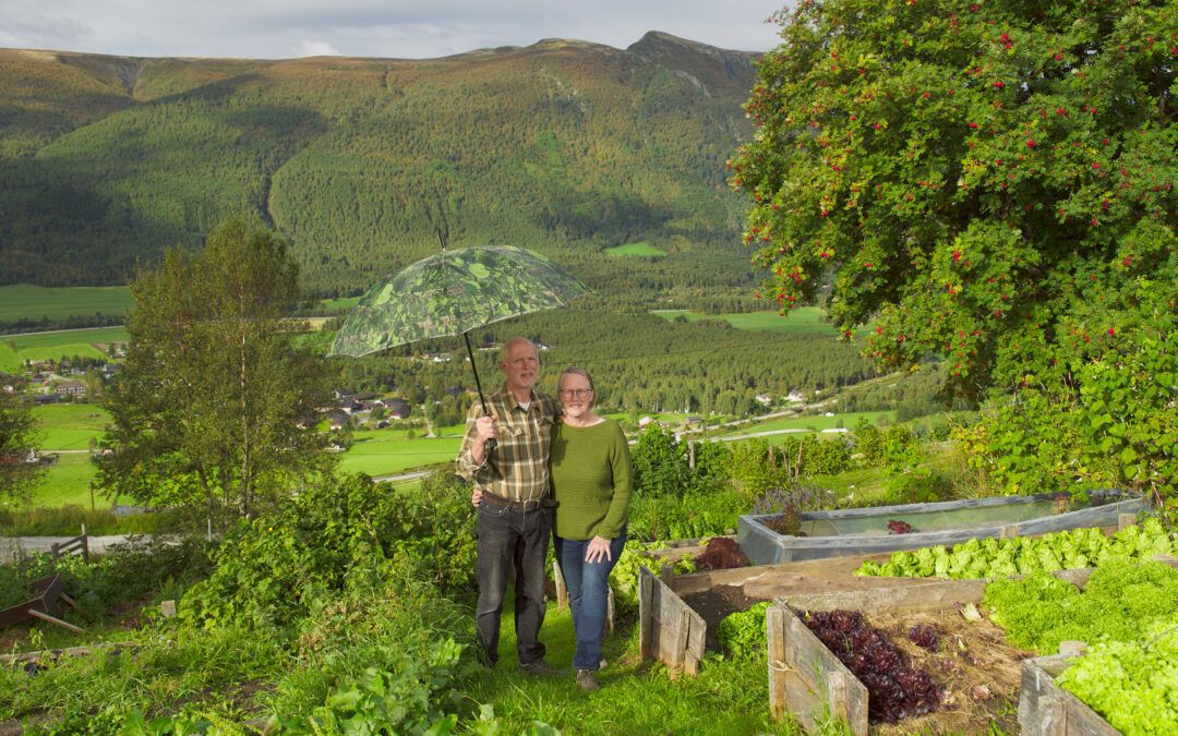 Søre Hovde gård